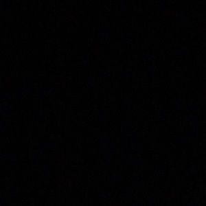 Meet your Posher, Maddie